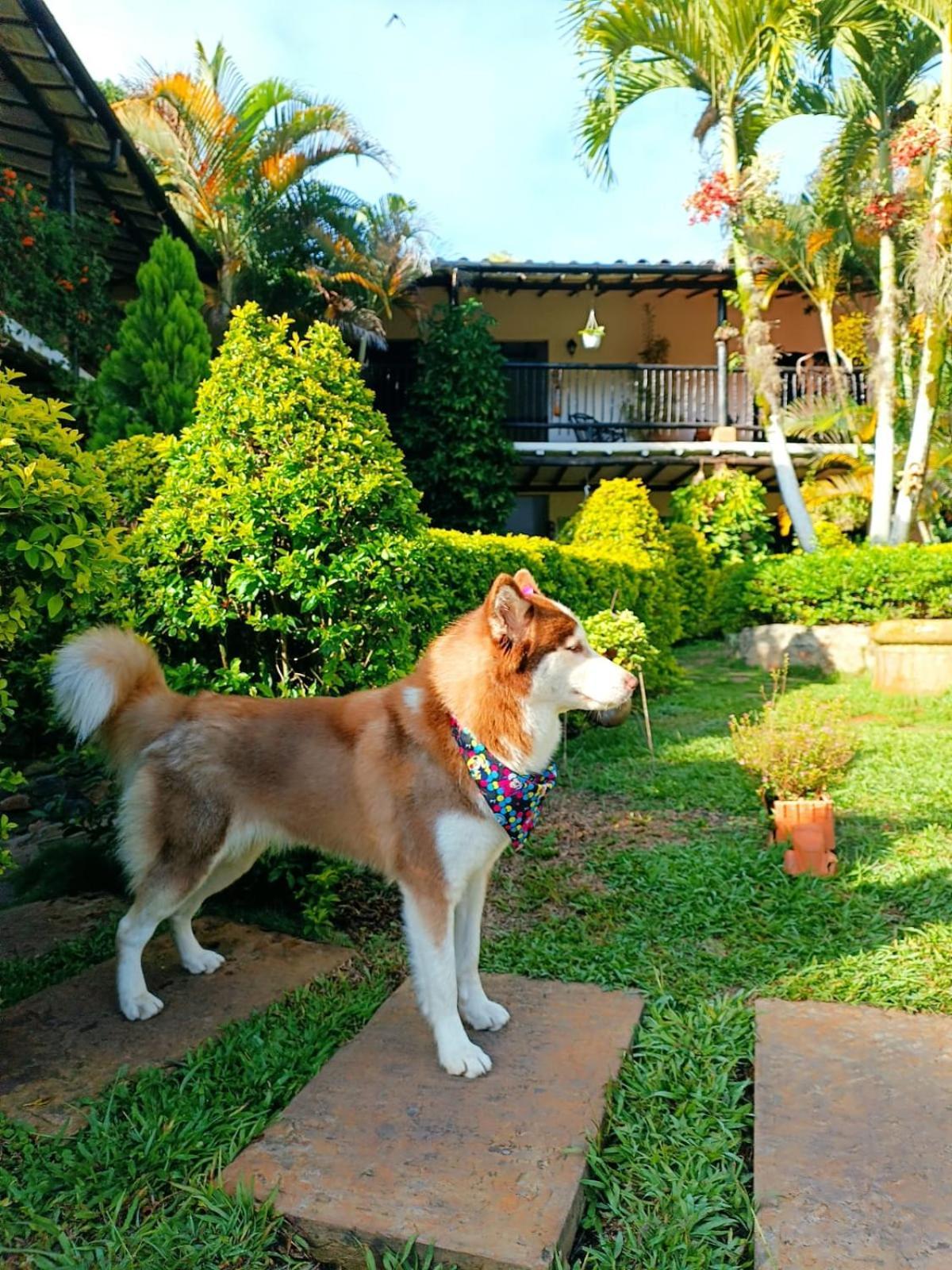 Hotel campestre Casona del Camino Real San Gil Esterno foto